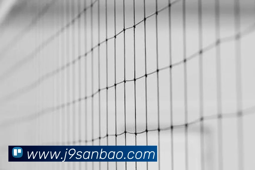 j9九游会国际平台生态图